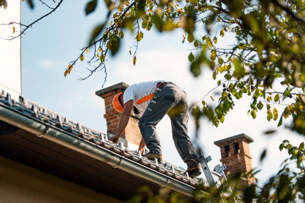 Trusted Maple Lake, MN Roofing Contractor Experts