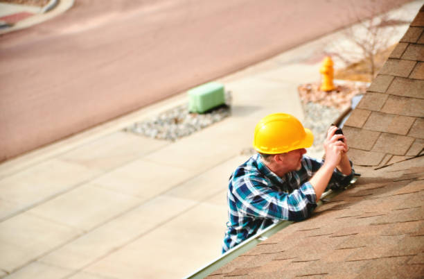 Best Local Roofing Companies  in Maple Lake, MN