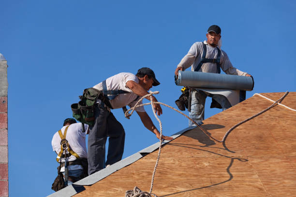 Maple Lake, MN Roofing Contractor Company