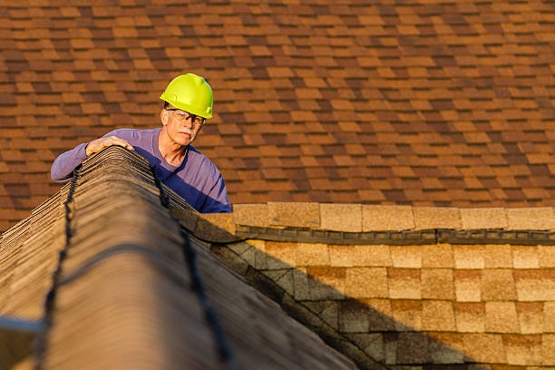 Trusted Maple Lake, MN Roofing Contractor Experts