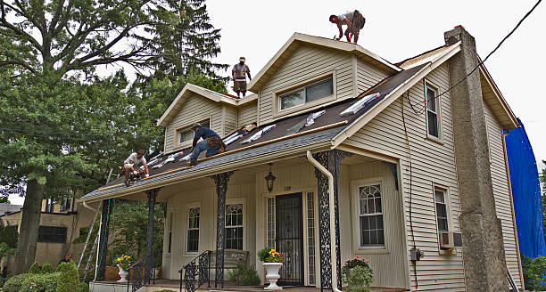 Best Roof Installation Near Me  in Maple Lake, MN